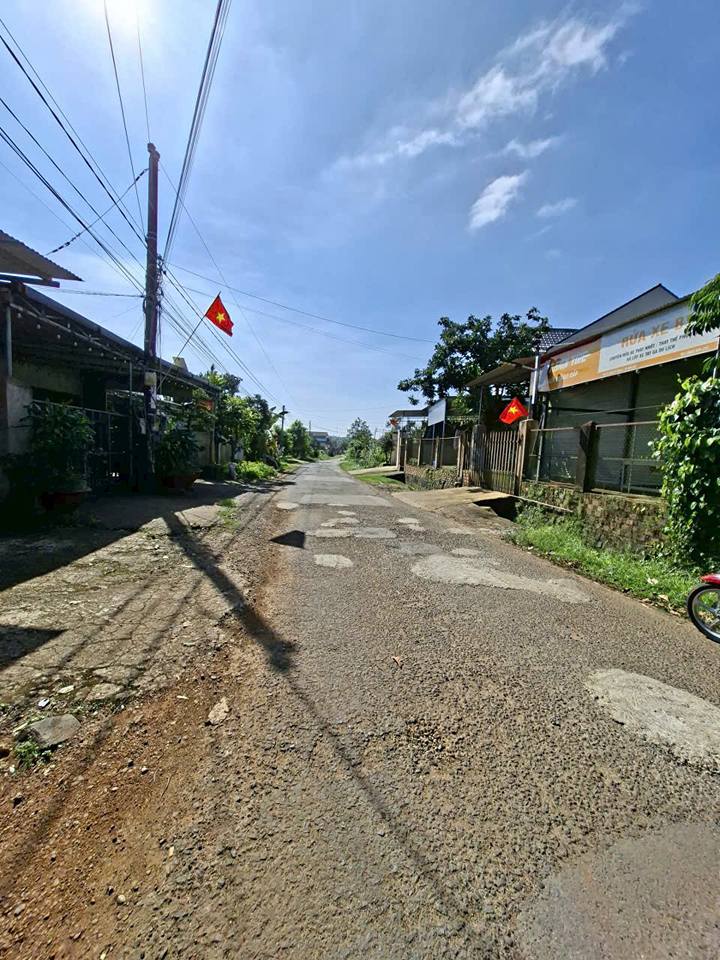 Đất nền mặt tiền Trần Tế Xương, Bảo Lộc 1000m² - Đầu tư sinh lời lý tưởng!