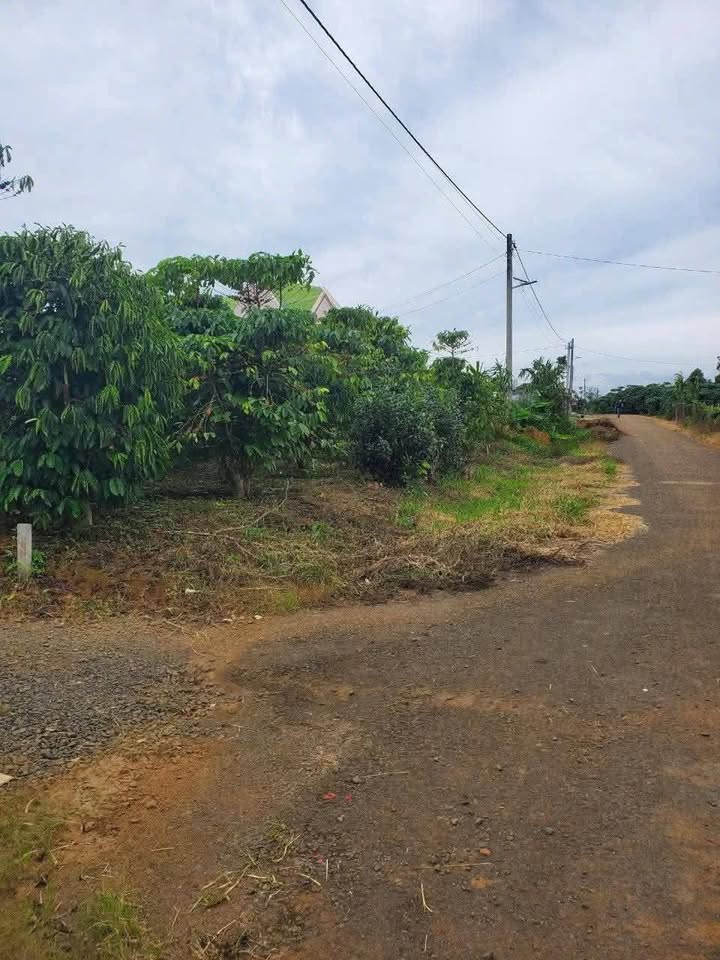 Đất nền 3xào tại Lộc Ngãi, Bảo Lâm - Sổ đỏ chính chủ, giá chỉ 2,3 tỷ!