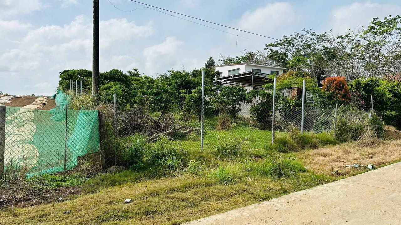 Đất nền Bảo Lộc 1184m² giá 3.3 tỷ - Cơ hội đầu tư không thể bỏ lỡ!