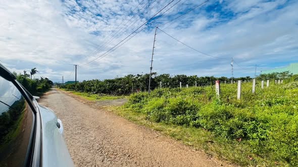 Đất nền chính chủ 121m² đường Nguyễn Kiệm - Thống Nhất, Gia Lai - Giá thỏa thuận hấp dẫn!