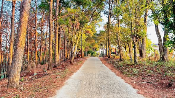 Đất nền Lê Văn Sỹ, Pleiku 1080m² giá 2.99 tỷ - Tiềm năng đầu tư lớn!