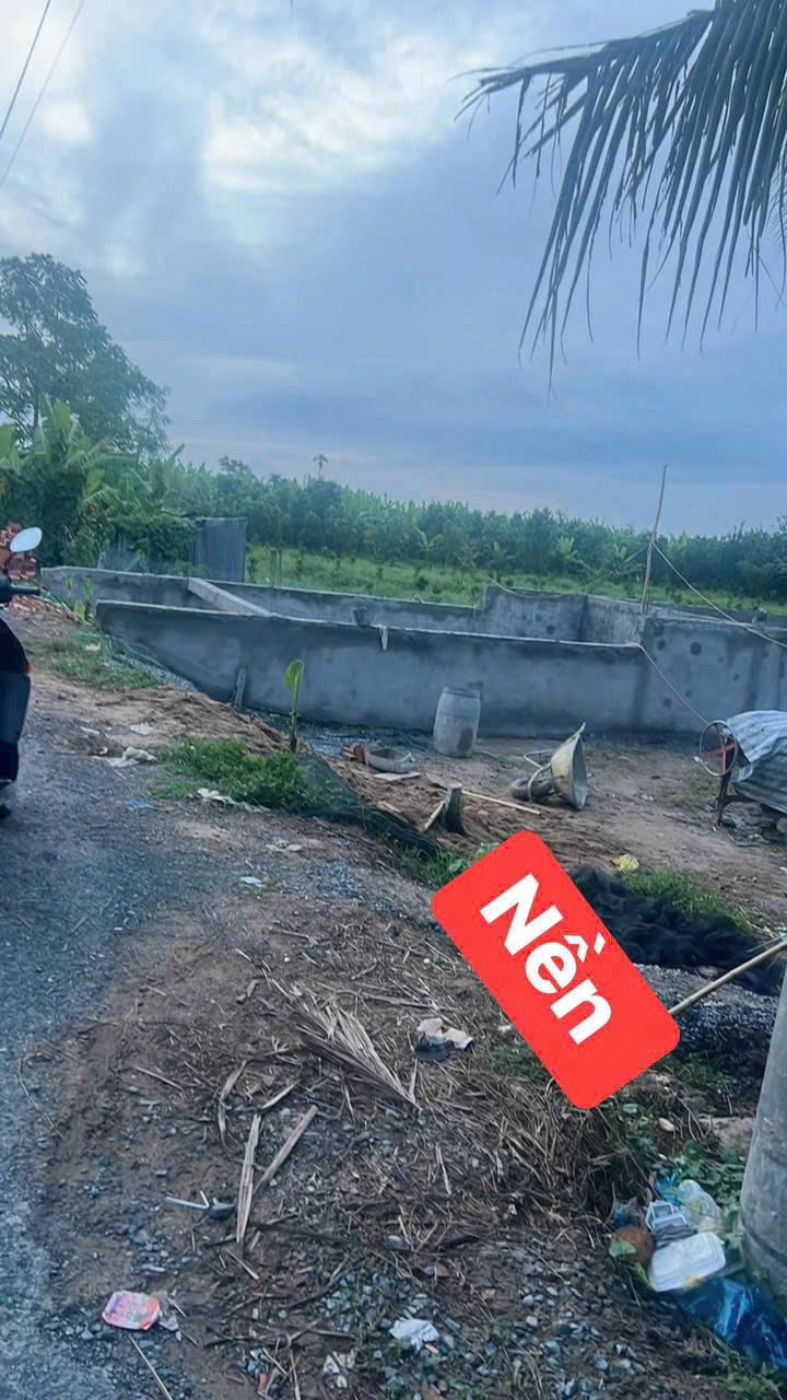 Đất nền thổ cư 125m² Cái Vồn - Giá chỉ 600 triệu - Sổ hồng chính chủ!