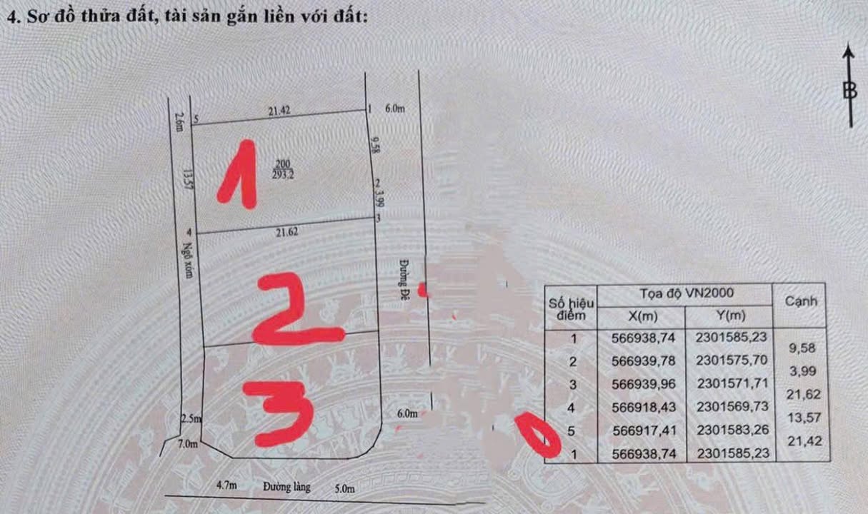 Bán đất nền Trần Phú, Chương Mỹ, 293m² - Vị trí vàng đầu tư
