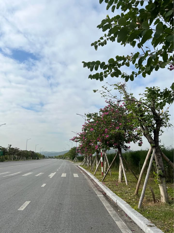 Đất nền Tuần Châu Hạ Long 514m² - View biển tuyệt đẹp, giá thỏa thuận!