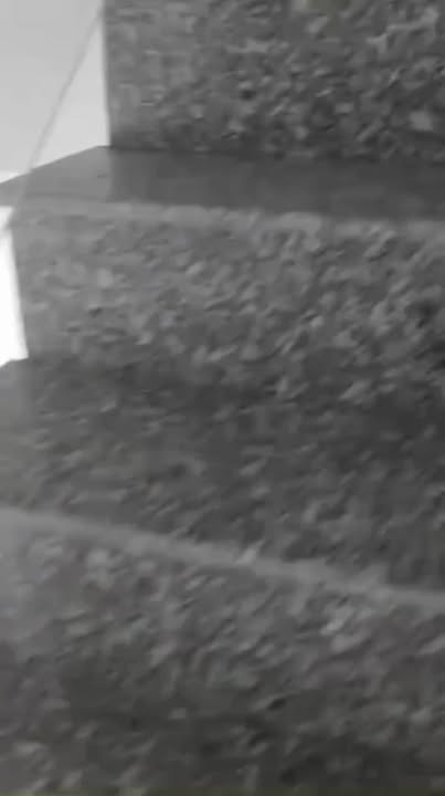 Nhà cho thuê tại Long Trạch, Cần Đước - Giá chỉ 2.5 triệu/tháng!