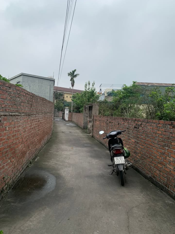 Đất Thượng Vũ Kim Thành 122m² giá 600 triệu - Cơ hội đầu tư tuyệt vời!