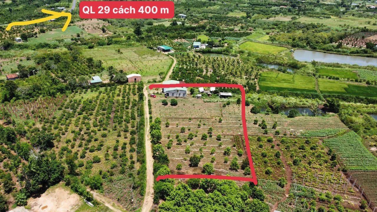 Đất thổ cư Xuân Phú, Ea Kar 580m² chỉ 259 triệu - Cơ hội đầu tư tuyệt vời!