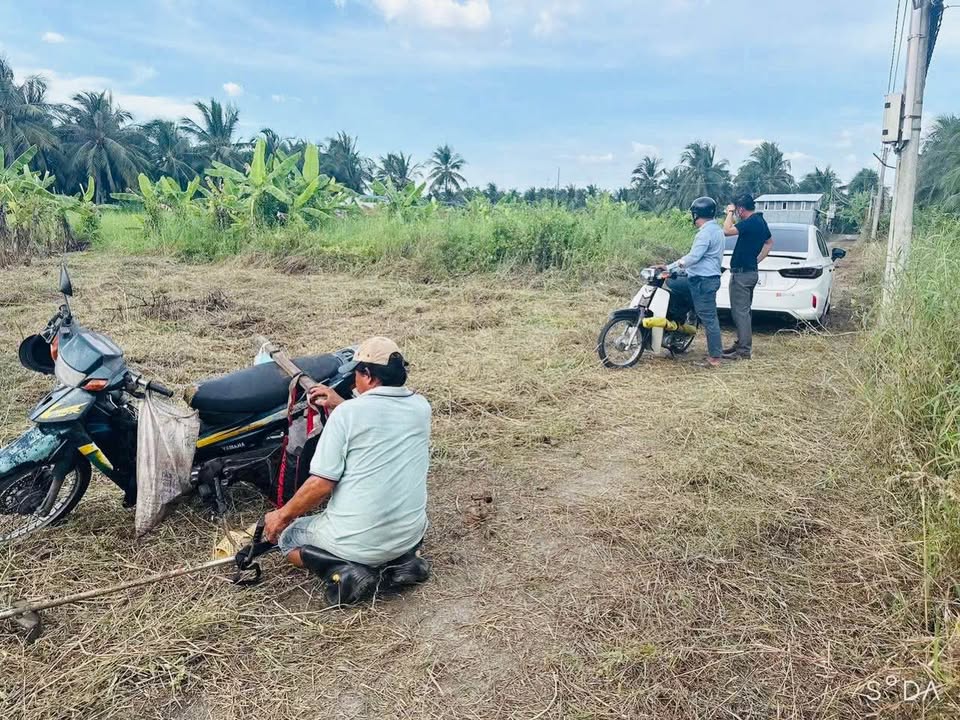 Đất nền Phường Phú Tân, TP Bến Tre 130m² - Giá chỉ 520 triệu, sổ hồng chính chủ!