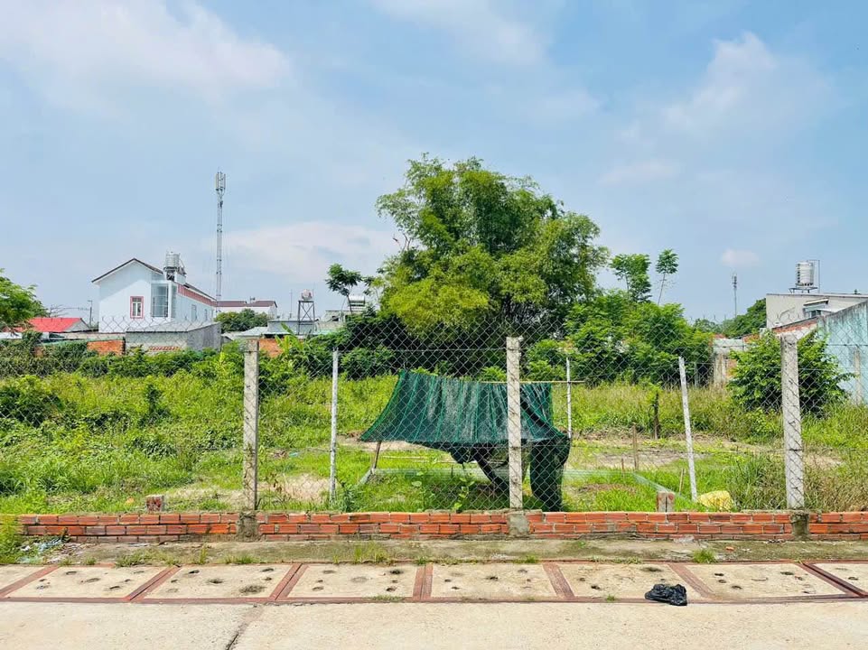 Đất nền Tân Thông Hội Củ Chi 191m² giá 3.6 tỷ - Pháp lý rõ ràng, xây dựng tự do!