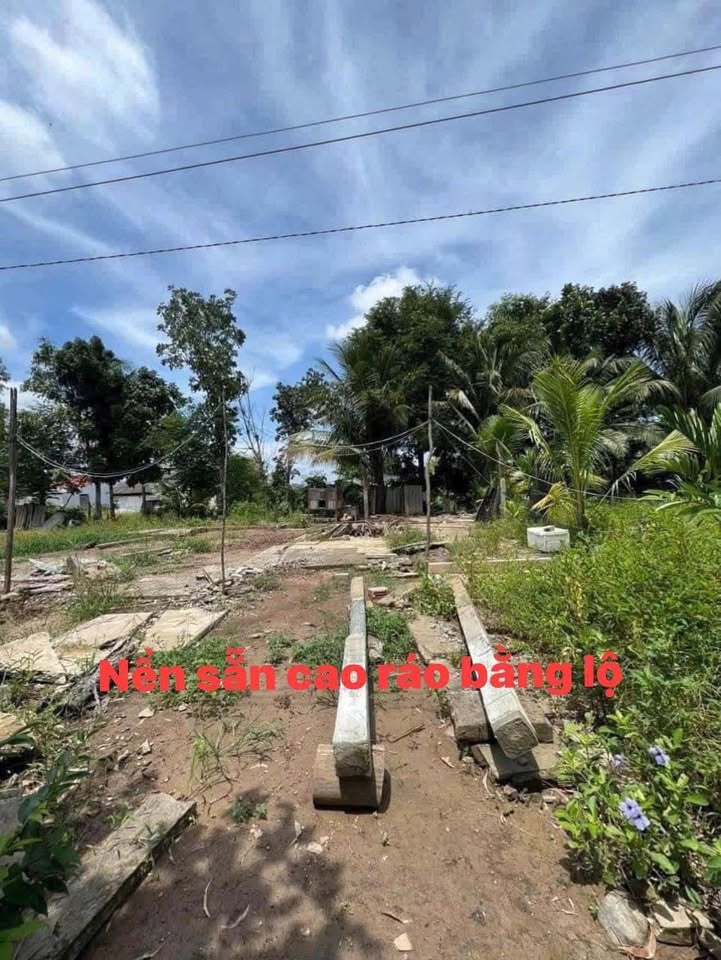 Đất nền An Lục Long, Châu Thành, Long An 115m² chỉ 350 triệu - Đầu tư sinh lời ngay!