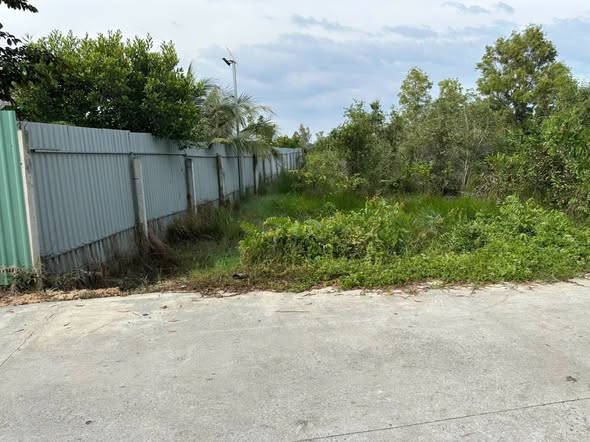 Đất nền Đức Hòa 1250m² giá chỉ 5.2 tỷ - Sổ hồng chính chủ