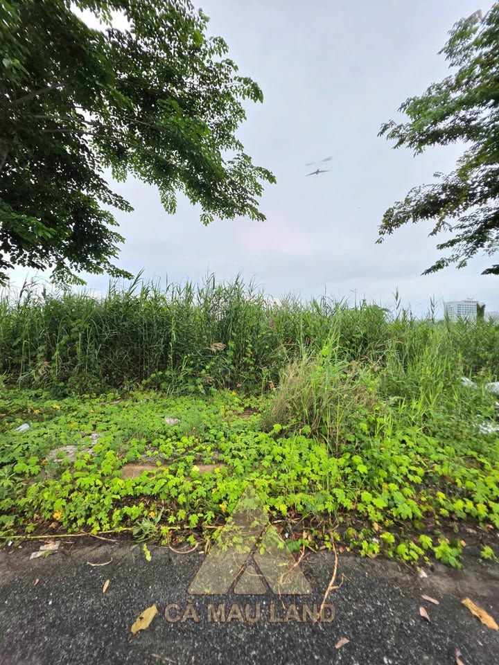 Đất nền P1 đường 14, Cà Mau 90m² giá 1.4 tỷ - Tiện ích đầy đủ, giao thông thuận lợi!