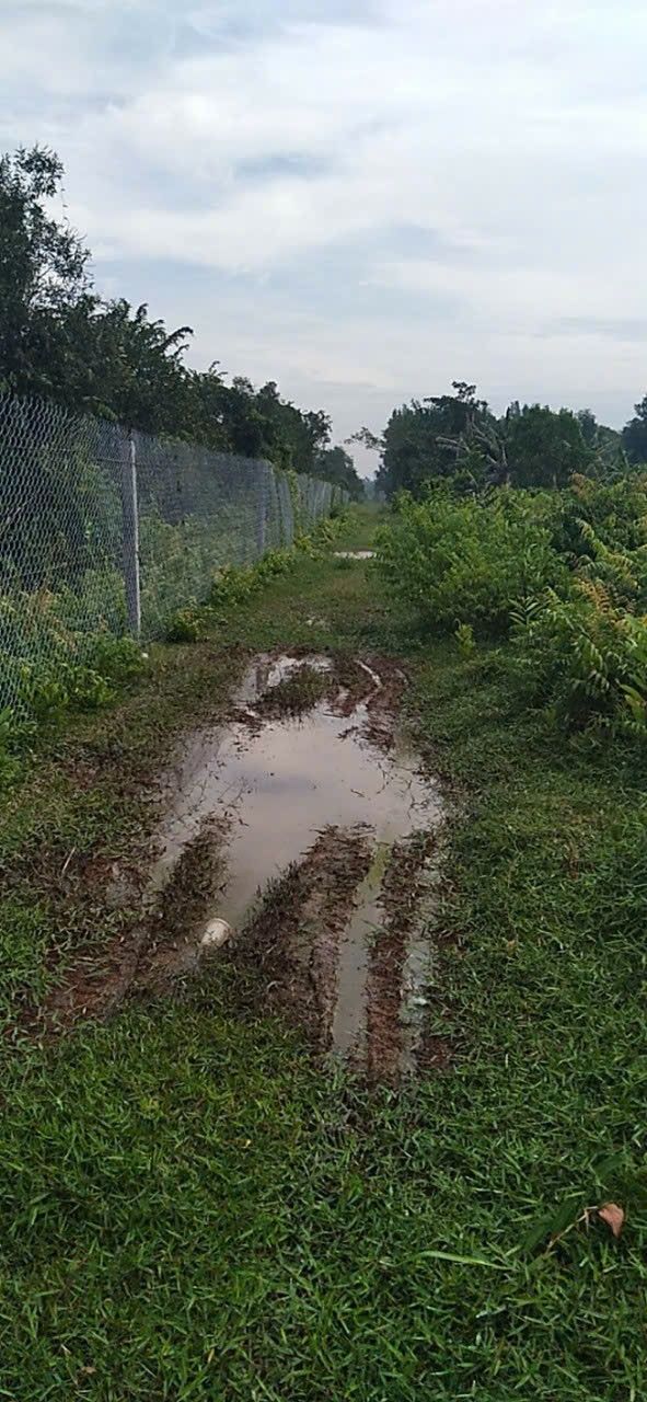 Đất nền 17 hecta tại Tân Thới Nhì, Hóc Môn chỉ 420.000 VNĐ/m² - Cơ hội đầu tư hấp dẫn!