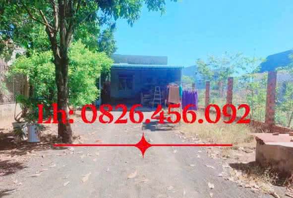 Nhà cấp 4 Tân Xuân, Đồng Xoài 384m² giá 1 tỷ - Mặt tiền đường nhựa