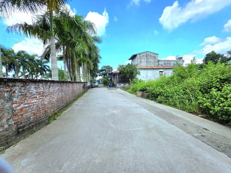 Đất nền Móng Cái 100m² giá 1.1 tỷ - Khu vực đông dân cư thoáng mát!