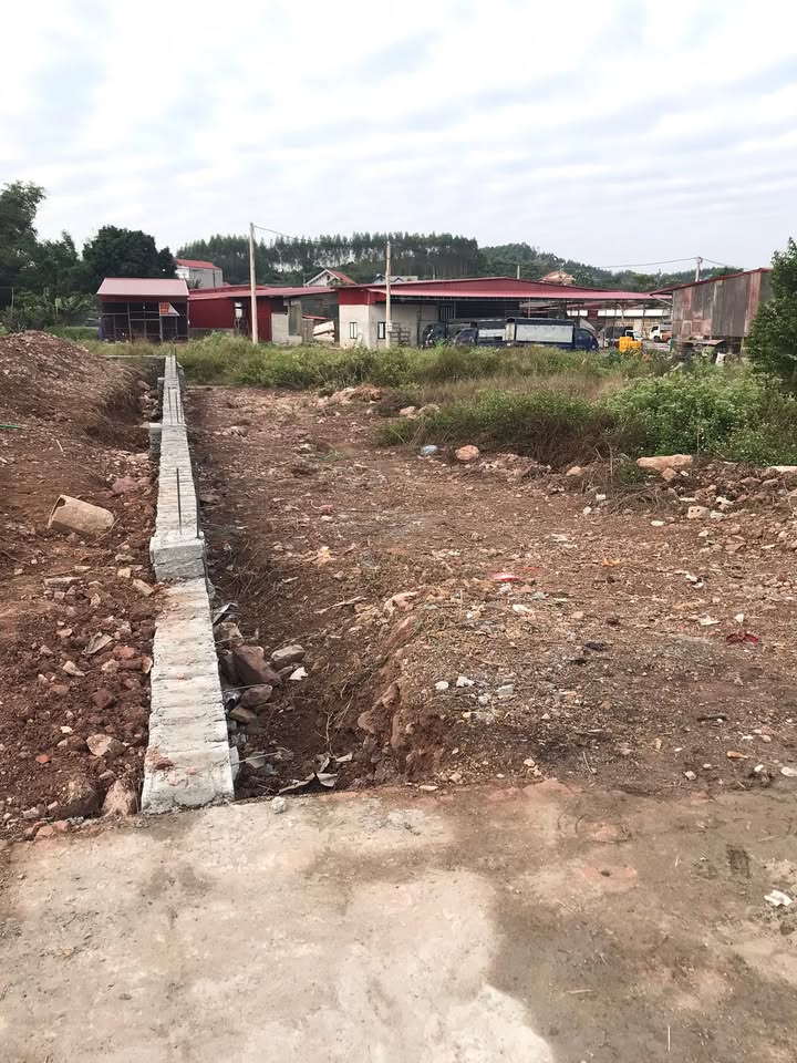 Đất nền kinh doanh đường QL17, Tân Yên, 114m² - Cơ hội đầu tư tuyệt vời!