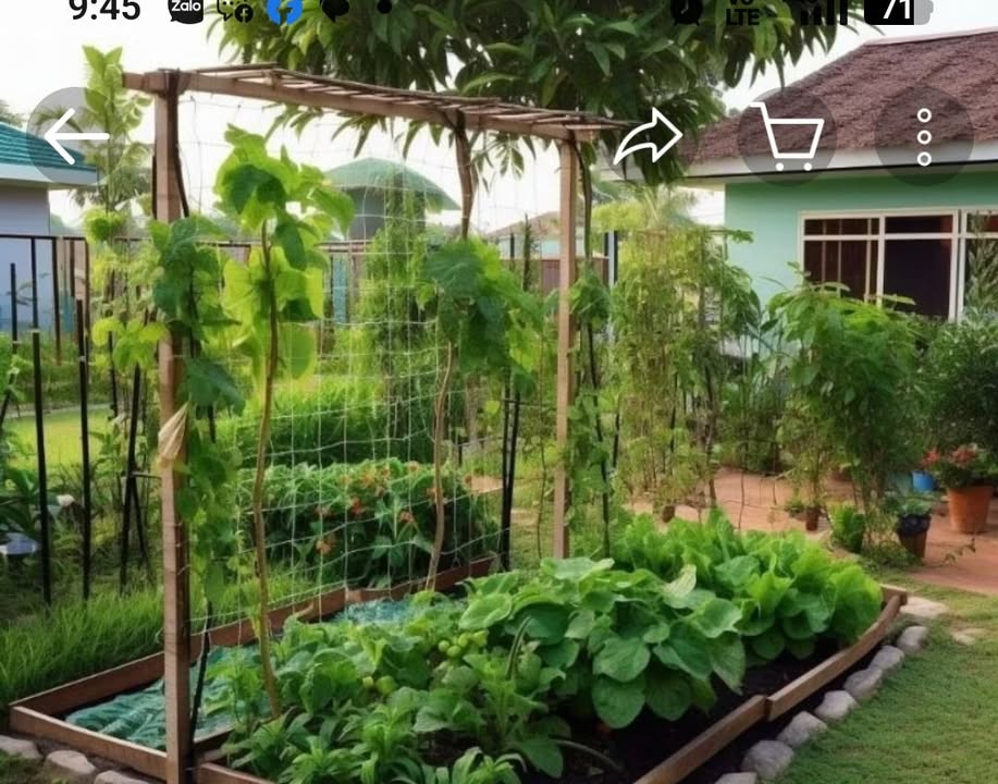 Mảnh vườn Nghĩa Thắng 2300m² giá 800 triệu - Pháp lý rõ ràng!