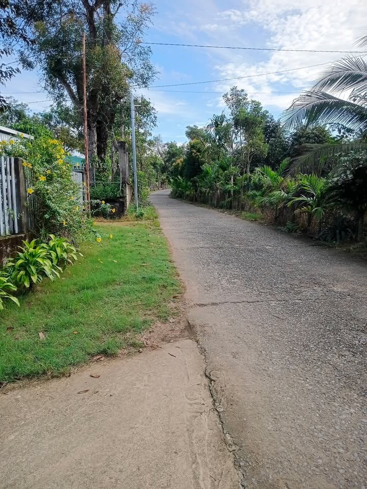 Đất nền 2400m² tại Mỹ Đức, Đạ Huoai chỉ 240 triệu - Cơ hội đầu tư hấp dẫn!