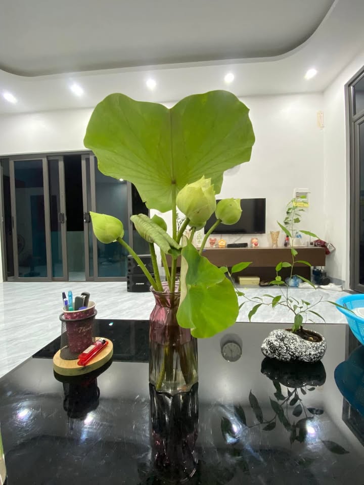 Nhà cấp 4 cho thuê tại Đỗ Động, Thanh Oai - Tiện ích đầy đủ, chỉ 3 phút ra Kim Bài