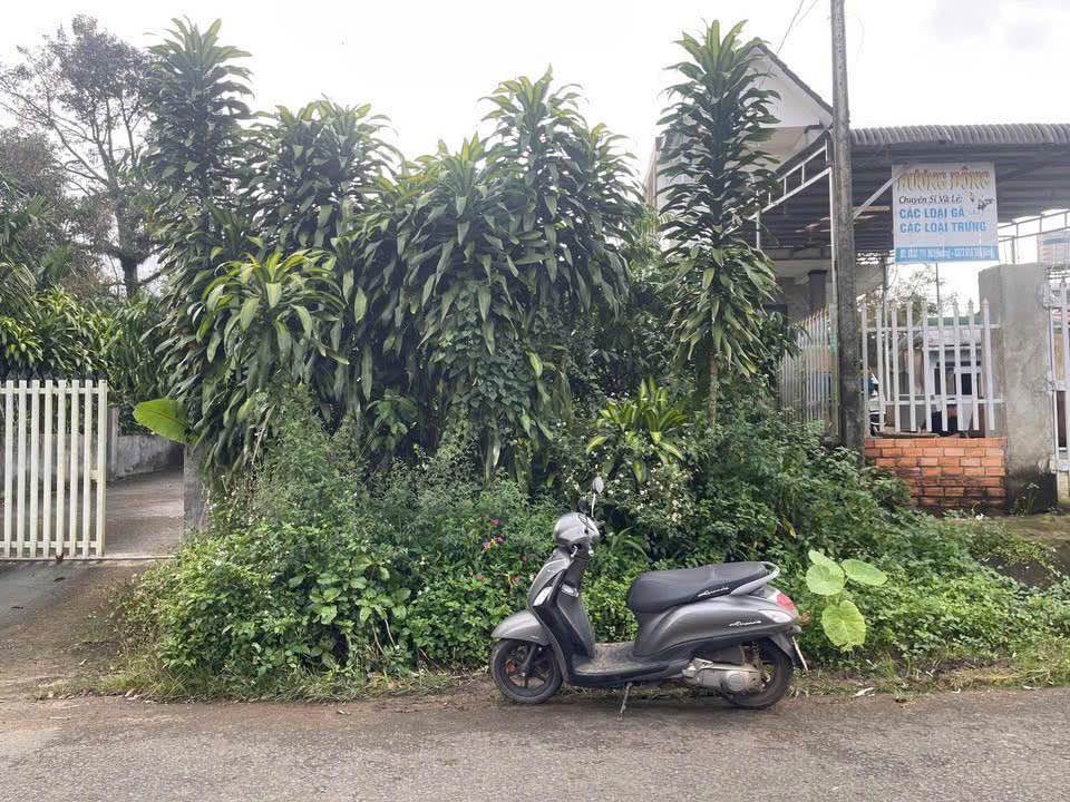 Đất mặt tiền nhựa Lộc Nga Bảo Lộc 342m² giá 1.9 tỷ - Đầu tư lý tưởng!