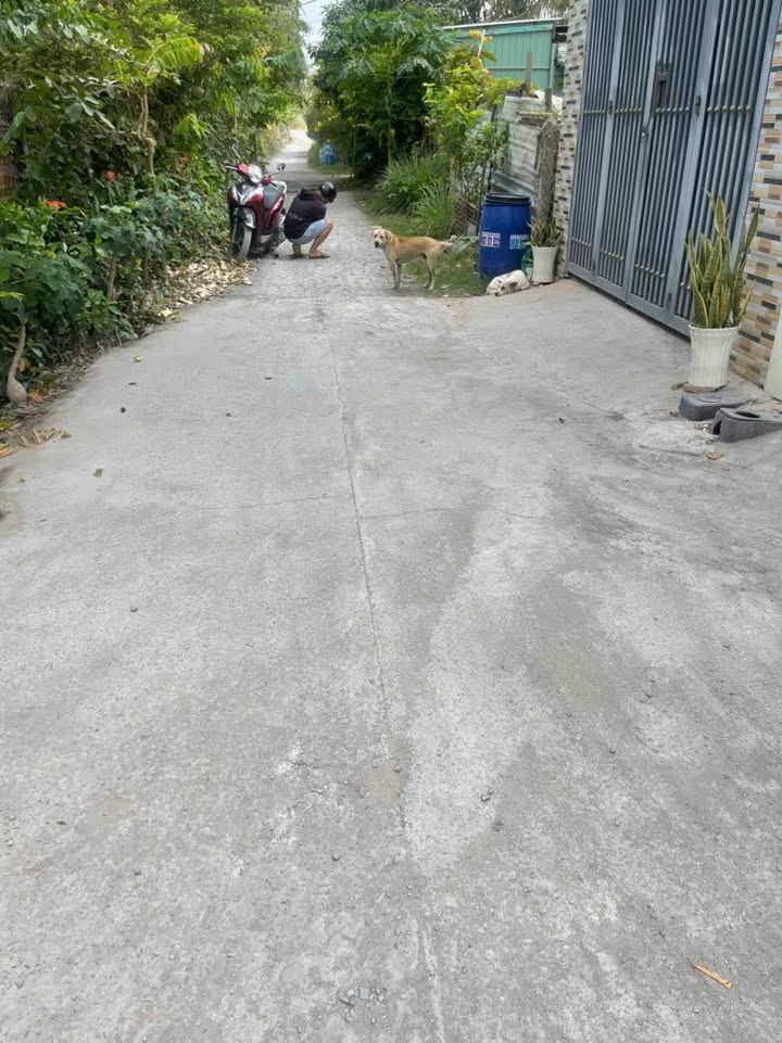 Đất nền Bình Mỹ, Bắc Tân Uyên 260m² giá 3.65 tỷ - Sổ đỏ chính chủ, xây dựng tự do!