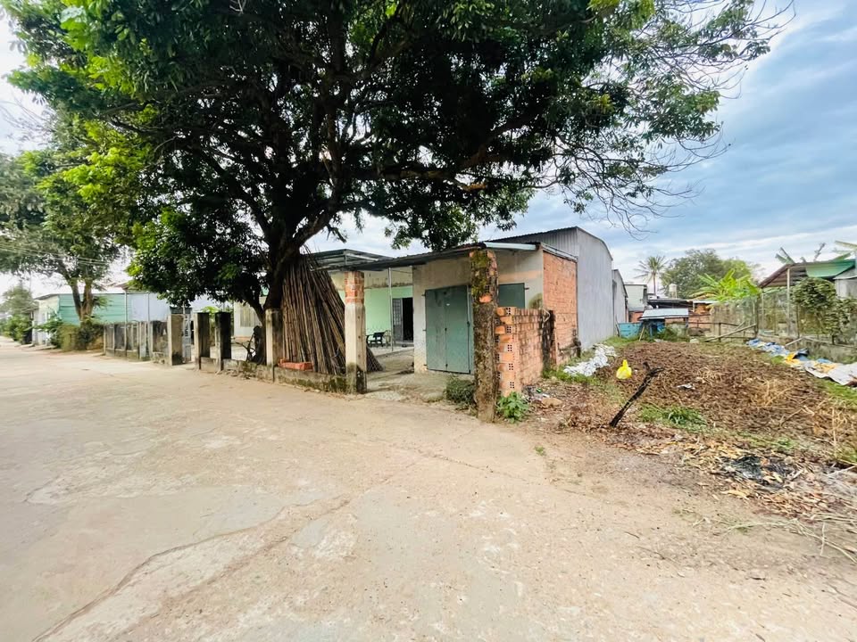 Đất thổ cư tại thôn Phương Quý 2, Vinh Quang, 186m² - Giá cắt lỗ chỉ 500 triệu!