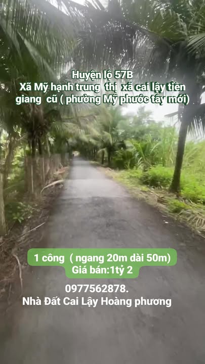 Đất nền mặt tiền huyện lộ 57B, xã Mỹ Hạnh Trung, 1000m² chỉ 1.2 tỷ - Đầu tư sinh lời!