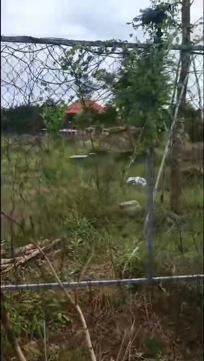 Đất nền Hồ Tràm 4912m² giá 1.9 tỷ - View cây xanh tuyệt đẹp!