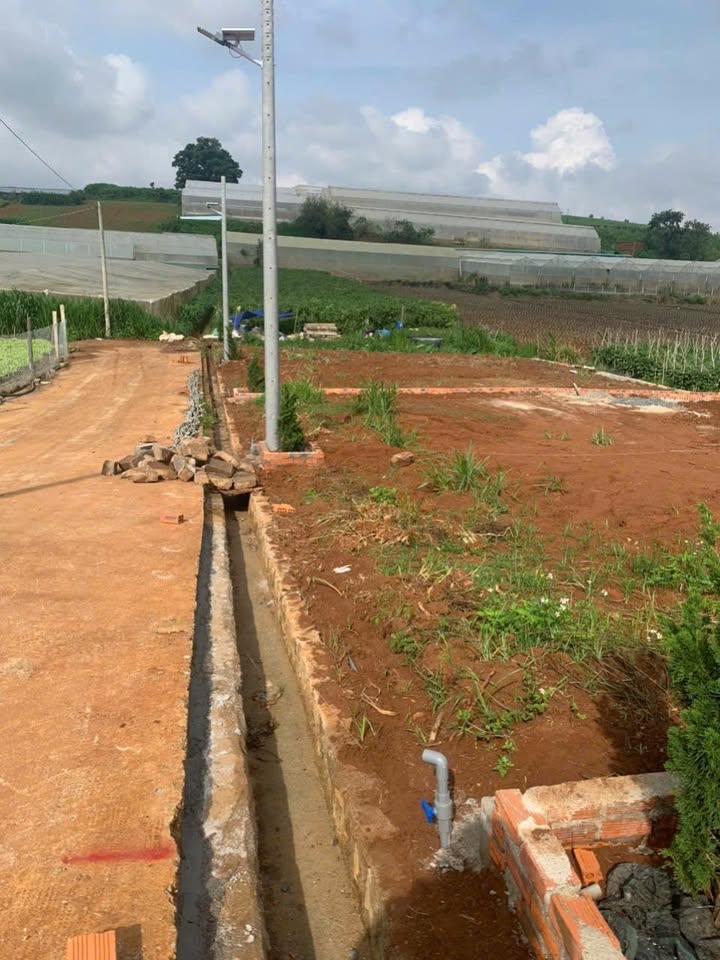 Đất đầu tư 2 mặt tiền xã Quảng Lập 270m² chỉ 600 triệu - Tiềm năng tăng giá vượt trội!