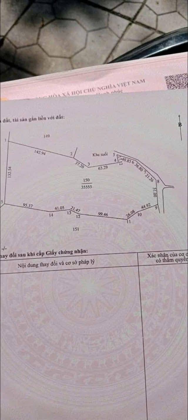 Đất rừng Hải Trường 8.8 héc - Giá 340 triệu/1 héc, đầu tư sinh lời!