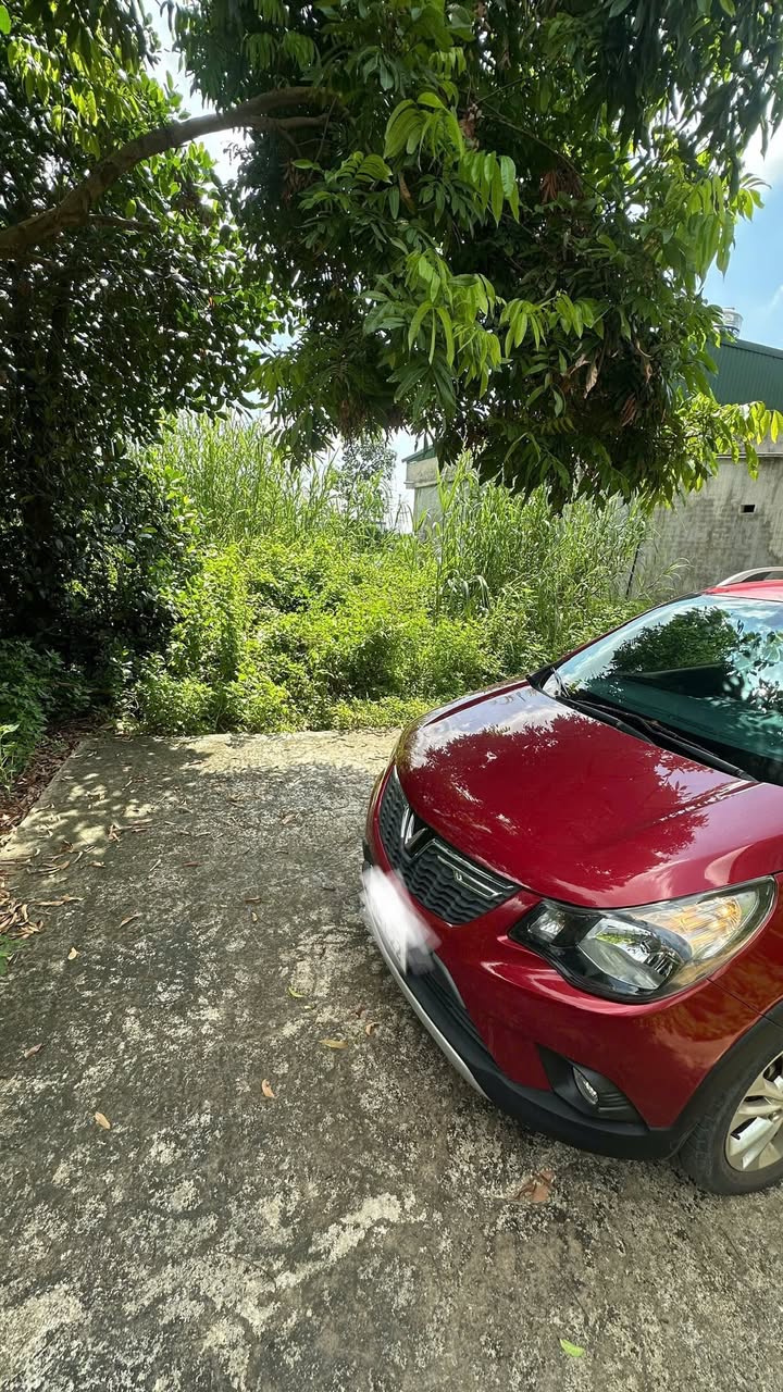 Đất nền Uông Bí 253,8m² giá chỉ 1 tỷ - Ngay gần Nhà Văn Hoá Khu Thanh Sơn!