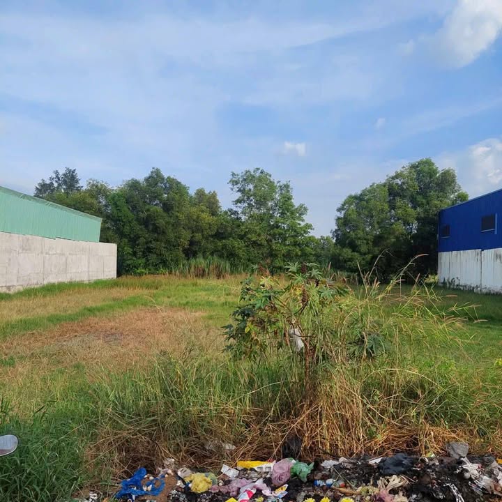 Đất xây xưởng 1140m² tại Đức Hòa, Long An - Giá 6.7 tỷ, thương lượng nhẹ!