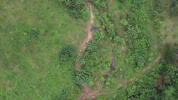 Đất nền Đạ Huoai 7000m² giá 550 triệu - Sẵn hệ thống tưới tự động