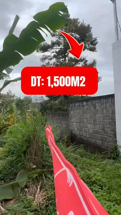 Đất nền Bảo Lộc 1500m² giá 8.5 tỷ - Xây biệt thự vườn ngay!