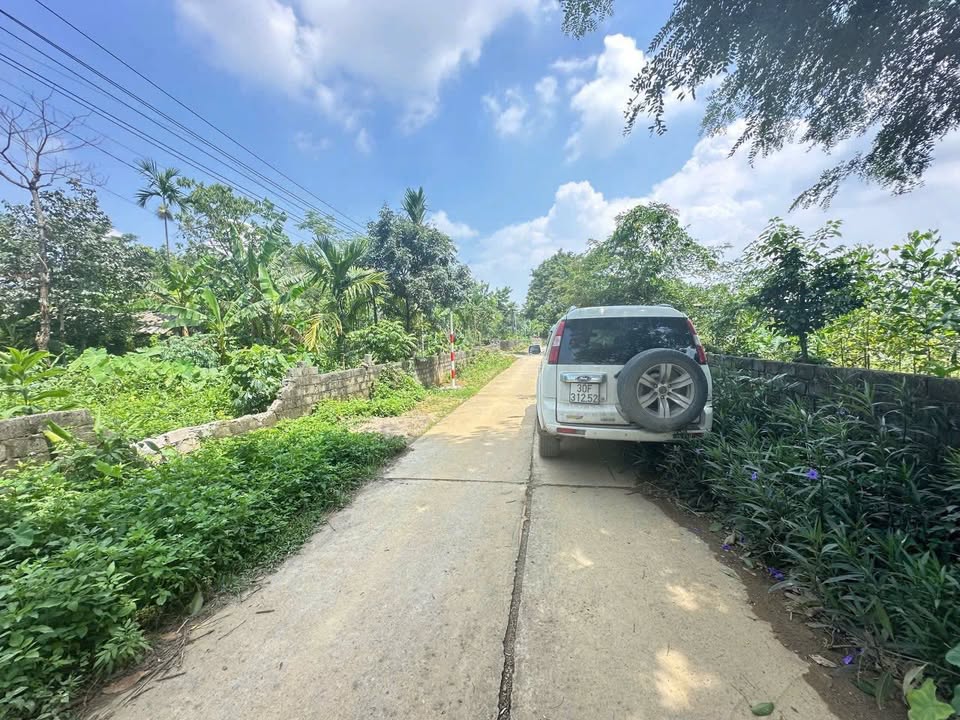 Đất nền thổ cư thôn Quèn Thị, Cao Dương, Lương Sơn 80m² giá chỉ 400 triệu - Cơ hội đầu tư tuyệt vời!