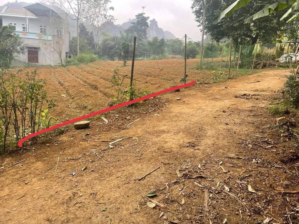 Lô đất Mường Hoa, Phú Thọ 400m² giá 300 triệu - Đầu tư sinh lời ngay!