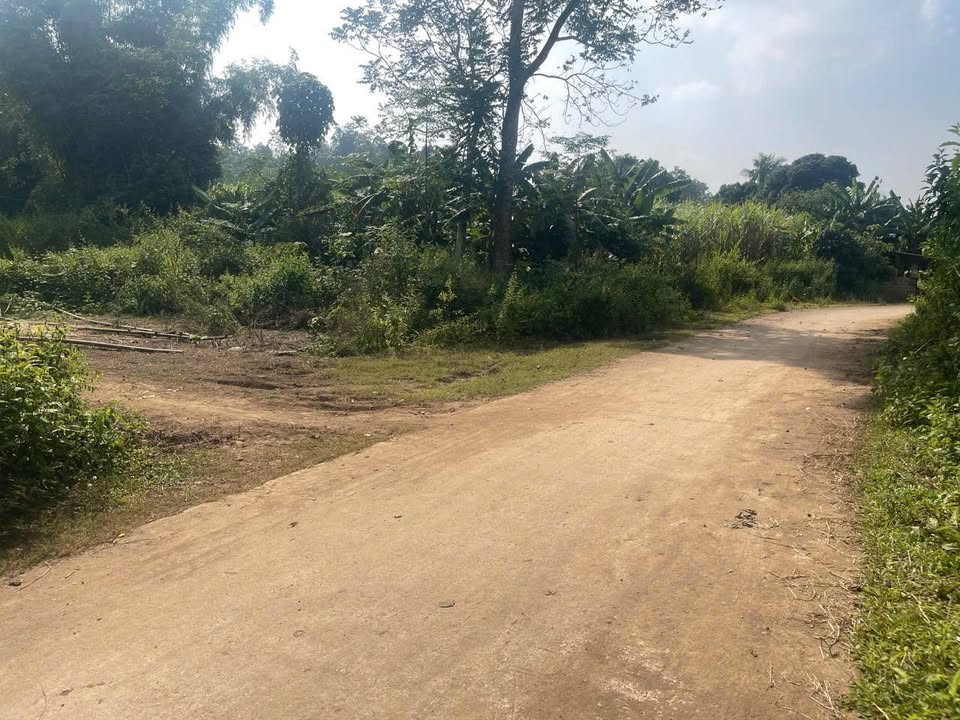 Đất thổ cư Tử Nê Tân Lạc 400m² chỉ 199 triệu - Lô góc 2 mặt tiền