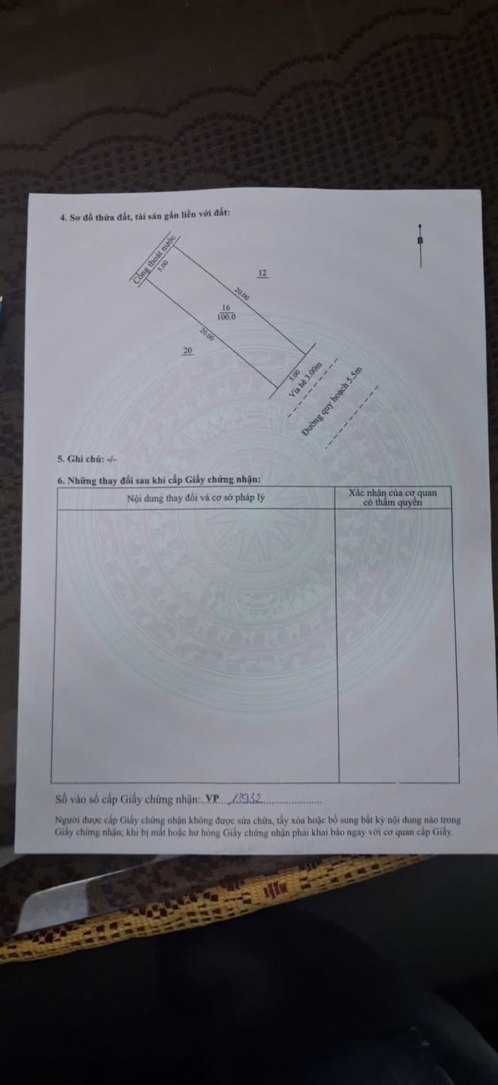 Đất nền tái định cư HL5 Liên Chiểu Đà Nẵng 100m² giá 2.8 tỷ - Cơ hội đầu tư sinh lời!