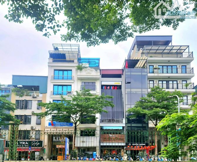 Bán gấp FrontHouse mặt phố Nguyễn Đình Chiểu, quận Hai Bà Trưng, 50m² giá 52 tỷ - Kinh doanh đa ngành, view công viên