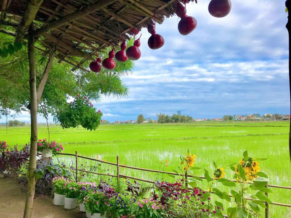 Đất nền An Mỹ Tam Kỳ 200m² - View cánh đồng lúa lý tưởng!