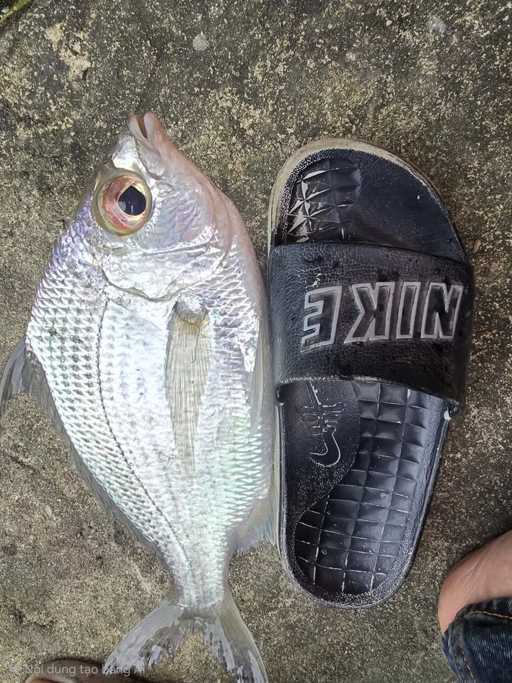 Đất nền Cẩm Thanh 400m² - Vị trí đẹp, gần hồ nước!