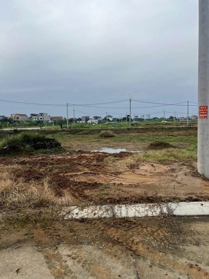 Đất phân lô Ninh Phúc 160m² giá 4 tỷ - Tiềm năng đầu tư cao!