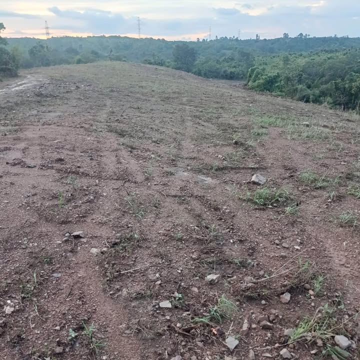 Đất nền 9,5 sào Tân Hòa, Buôn Đôn chỉ 650 triệu - Cơ hội đầu tư vàng!