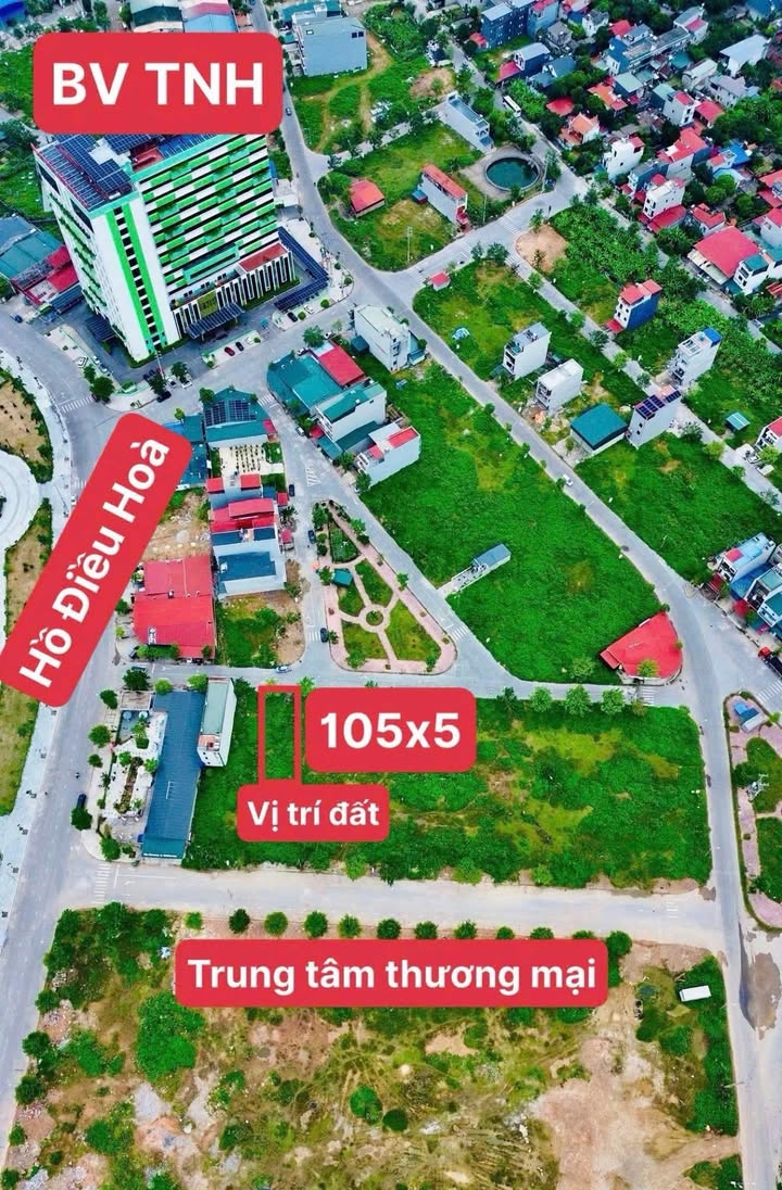Đất nền Nguyễn Thế Nho, Việt Yên 105m² giá 4 tỷ - Gần trung tâm thương mại!
