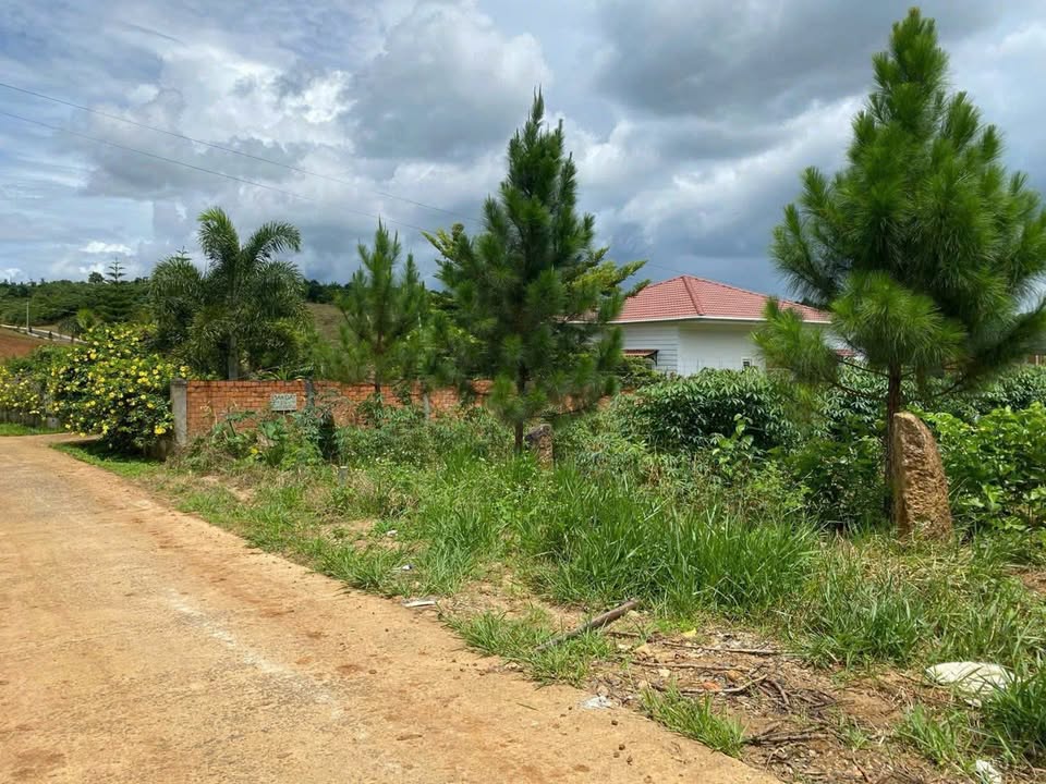 Đất nền 300m² thôn An Hòa, xã Lộc An, Bảo Lâm - Giá tốt chỉ 1.1 tỷ!