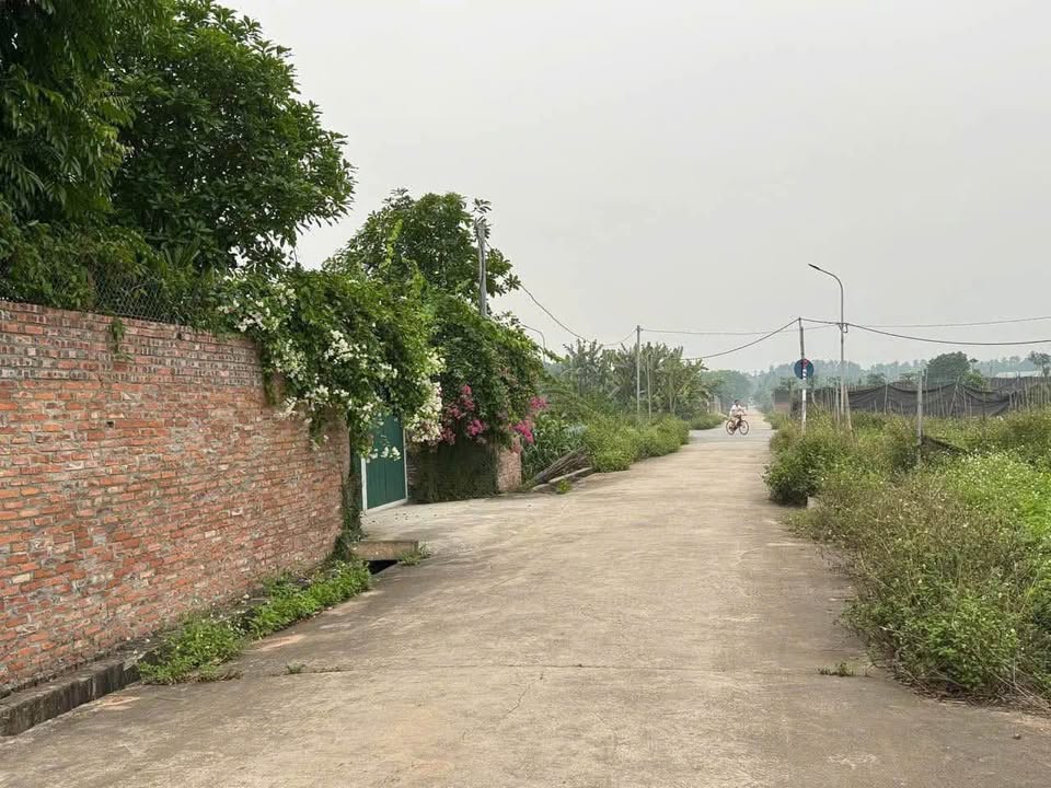 Đất sổ hồng 330m² tại Song Phương, Hoài Đức - Giá tốt đầu tư