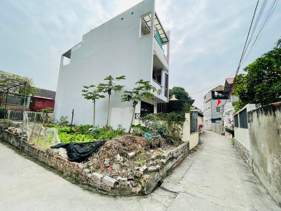 Đất Thọ Lộc Hoài Đức 96m² giá 3.5 tỷ - Lô góc 2 mặt thoáng, ô tô vào tận nơi!