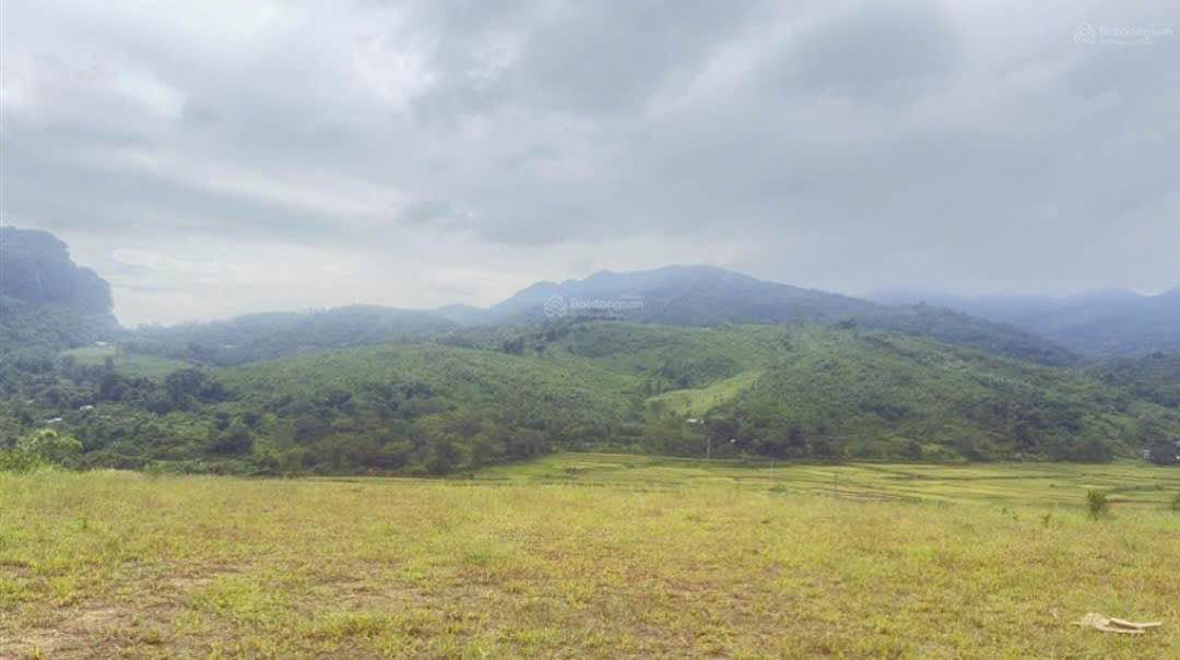 Đất nền 9.224m² tại Cao Răm, Lương Sơn - Giá chỉ 1,15 tỷ!