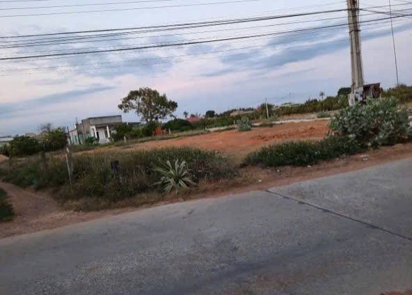 Đất thổ cư Xuân Điền, Hàm Hiệp 219m² giá 1.2 tỷ - Cơ hội đầu tư lý tưởng!