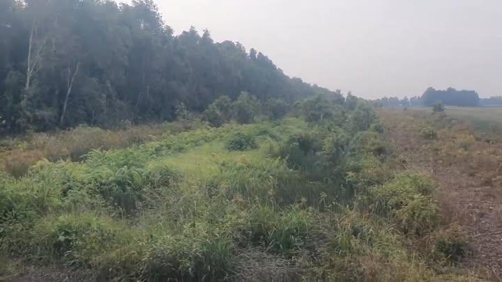 Đất nền Tân Phước 12 công giá 3.6 tỷ - Cơ hội đầu tư không thể bỏ lỡ!